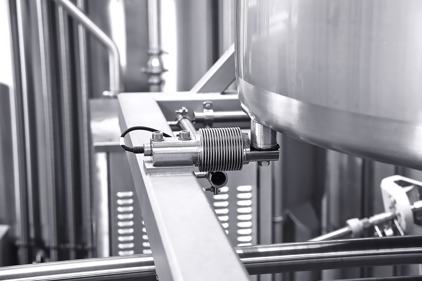 Eilersen process weighing using digital robust beam load cells