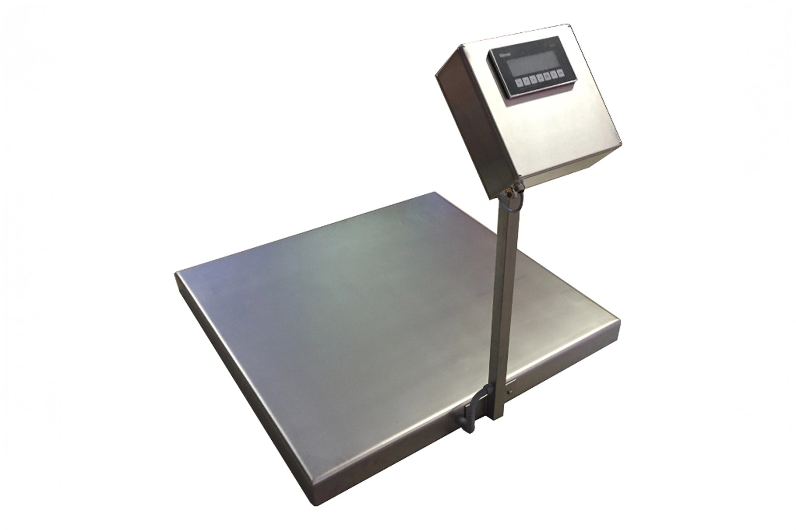Eilersen customized floor scale