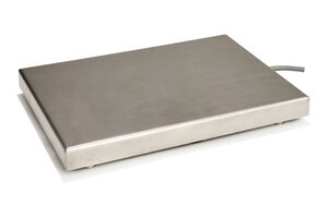 Eilersen ATEX platform scale